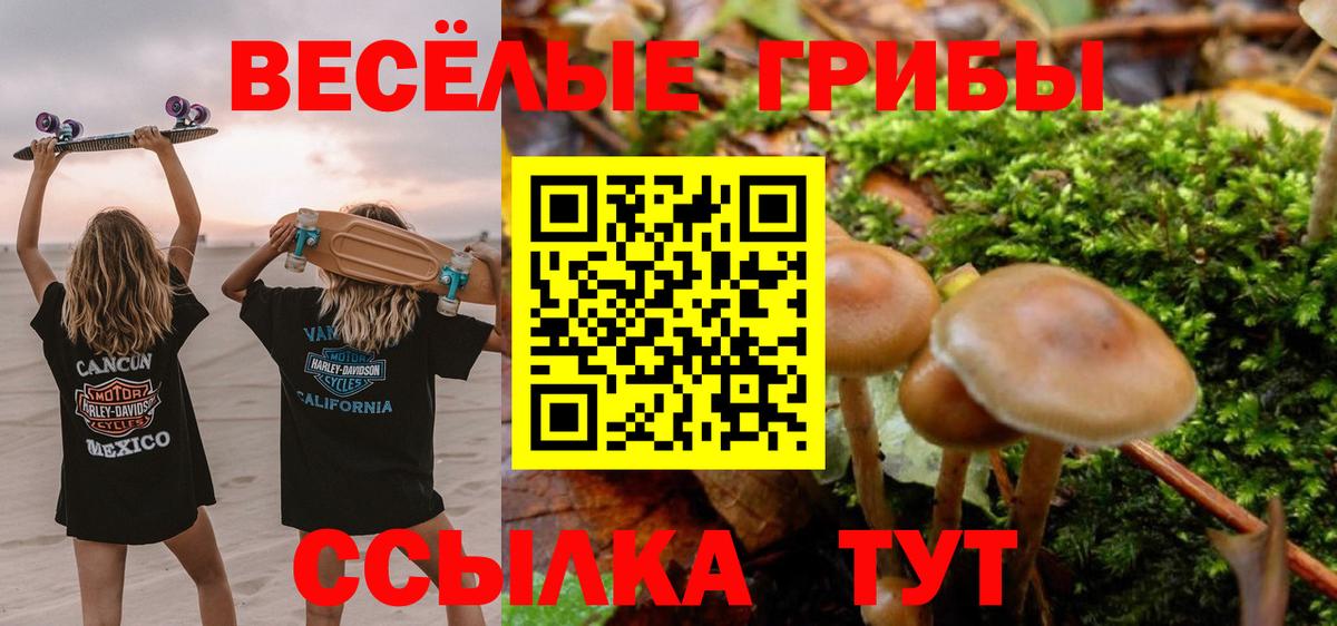 Галлюциногенные грибы ЛСД  Вход с VPN  Воркута 